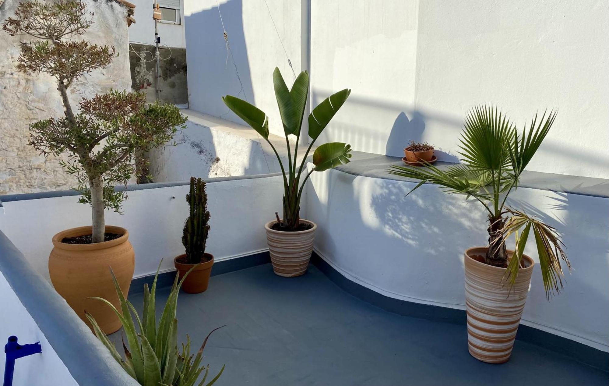 132 La Casa Del Pintor Apartment Тарифа Екстериор снимка